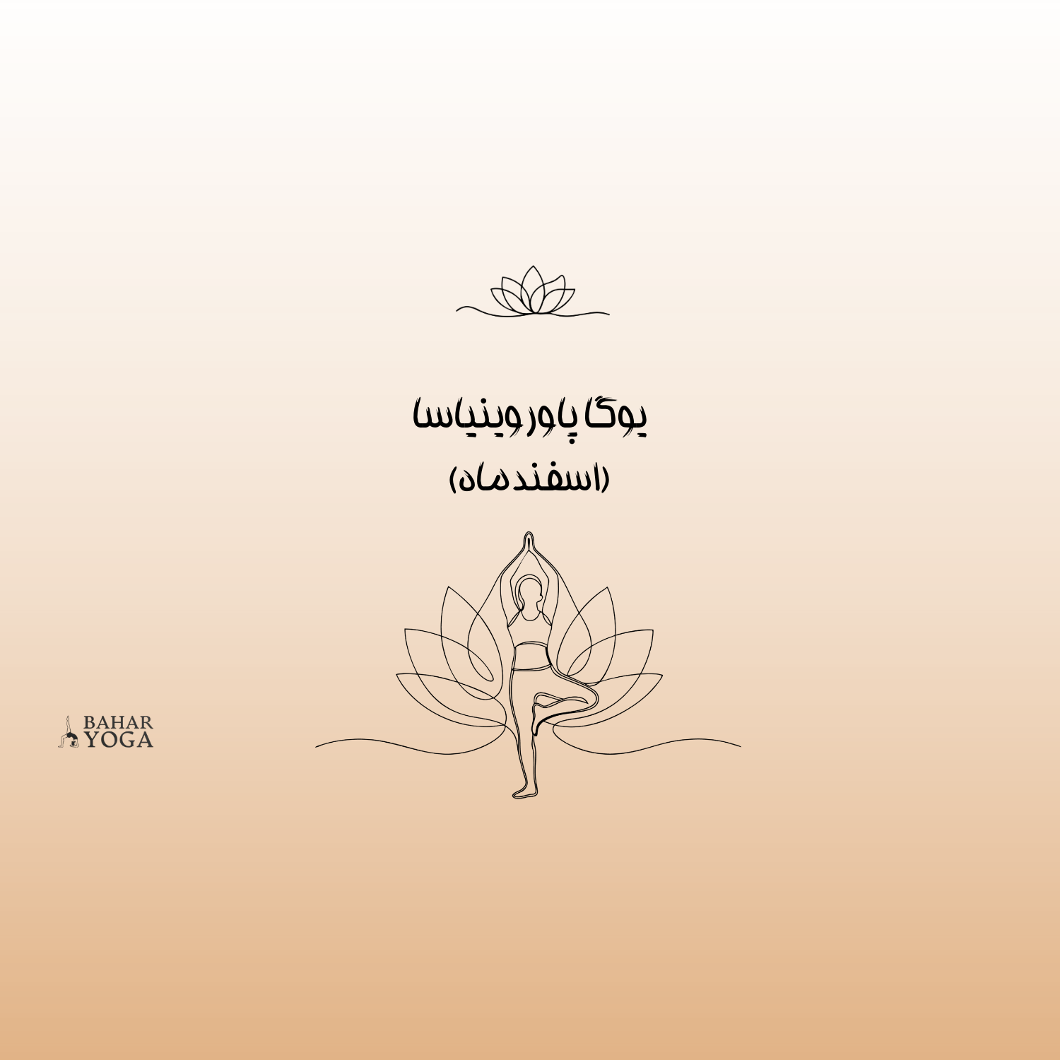 پاور وینیاسا پیشرفته (بهمن ماه )